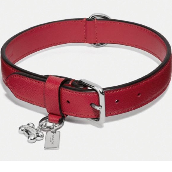 Red coach dog collar Clearance